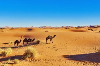 Les déserts d'Afrique qui doivent figurer sur votre liste de voyage